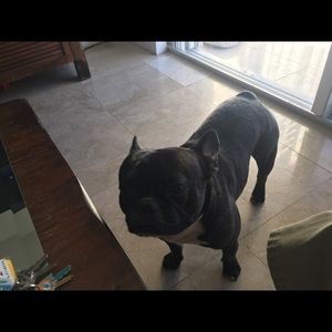 Meet your Posher, Joe